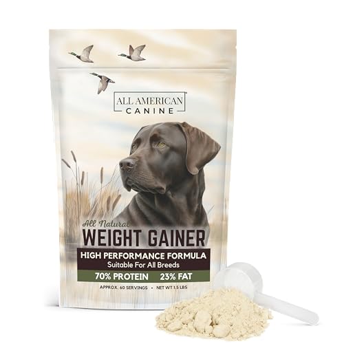 All American Canine Dog Weight Gainer - Dog Protein Powder - High Calorie Dog Food Supplement, Premium Quality Weight Gainer, Mass, Recovery, Appetite Stimulant - 60 Servings