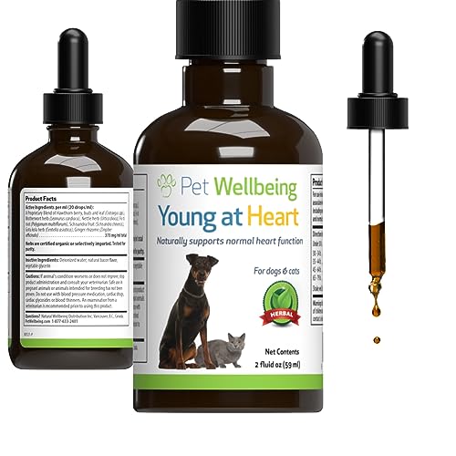 Pet Wellbeing Young at Heart for Dogs - Heart Health, Circulatory & Cardiovascular System, Hawthorn, Motherwort, Schisandra - Veterinarian-Formulated Herbal Supplement 2 fl oz (59 ml)