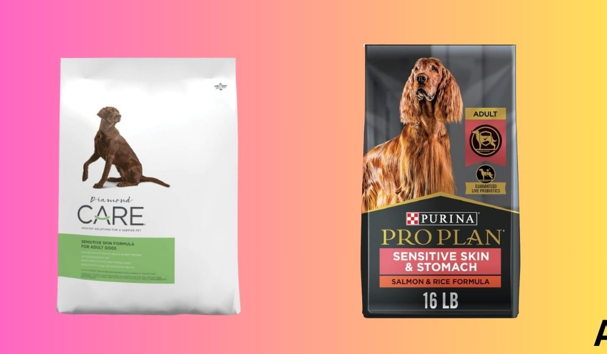 Best Dry Dog Food for Dogs With Itchy Skin