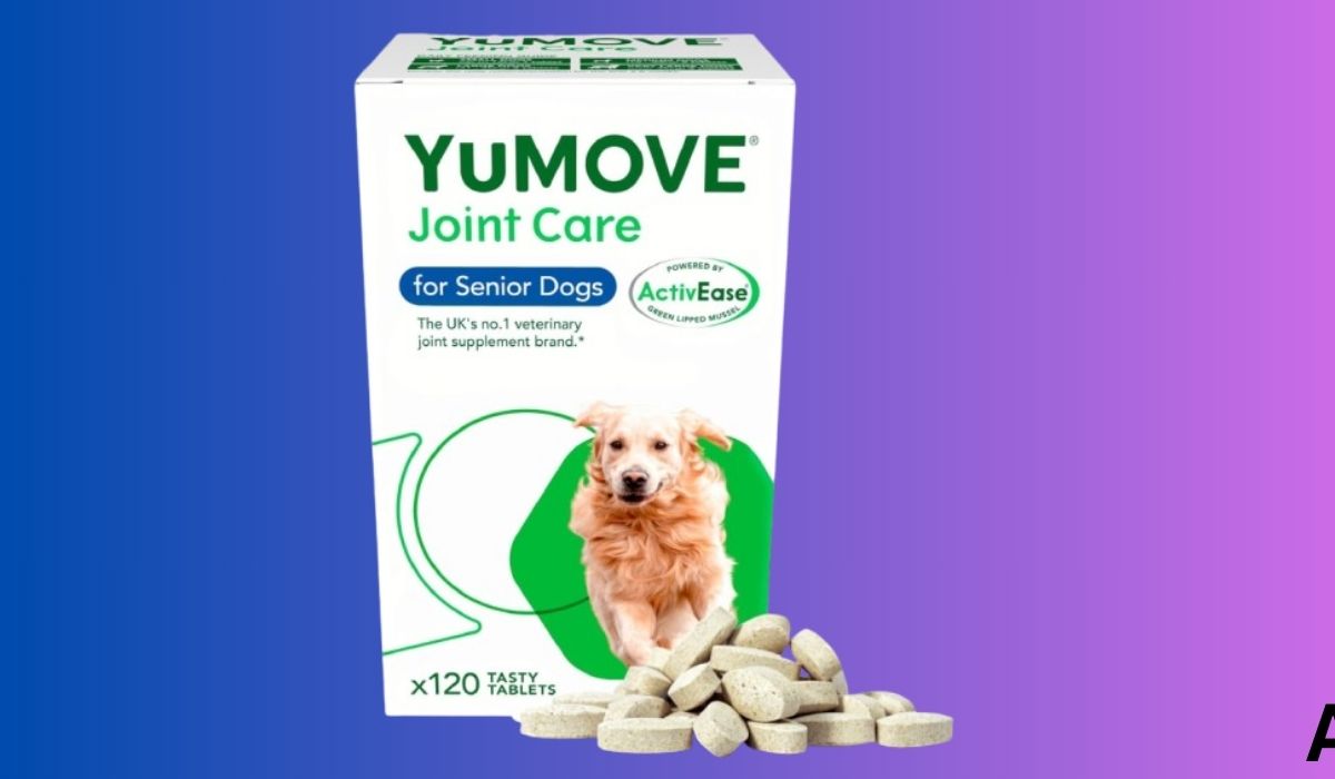 Best Dog Food for Old Dogs With Bad Joints