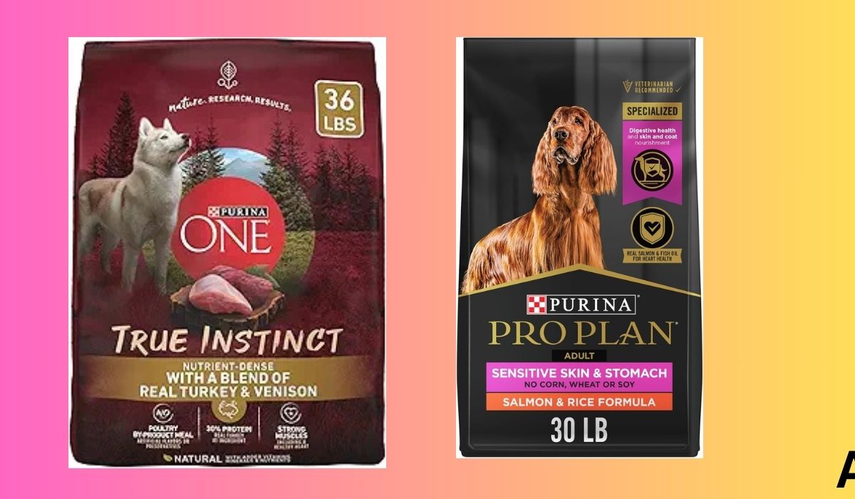 What Dog Food is Best for Dogs With Yeast Infections