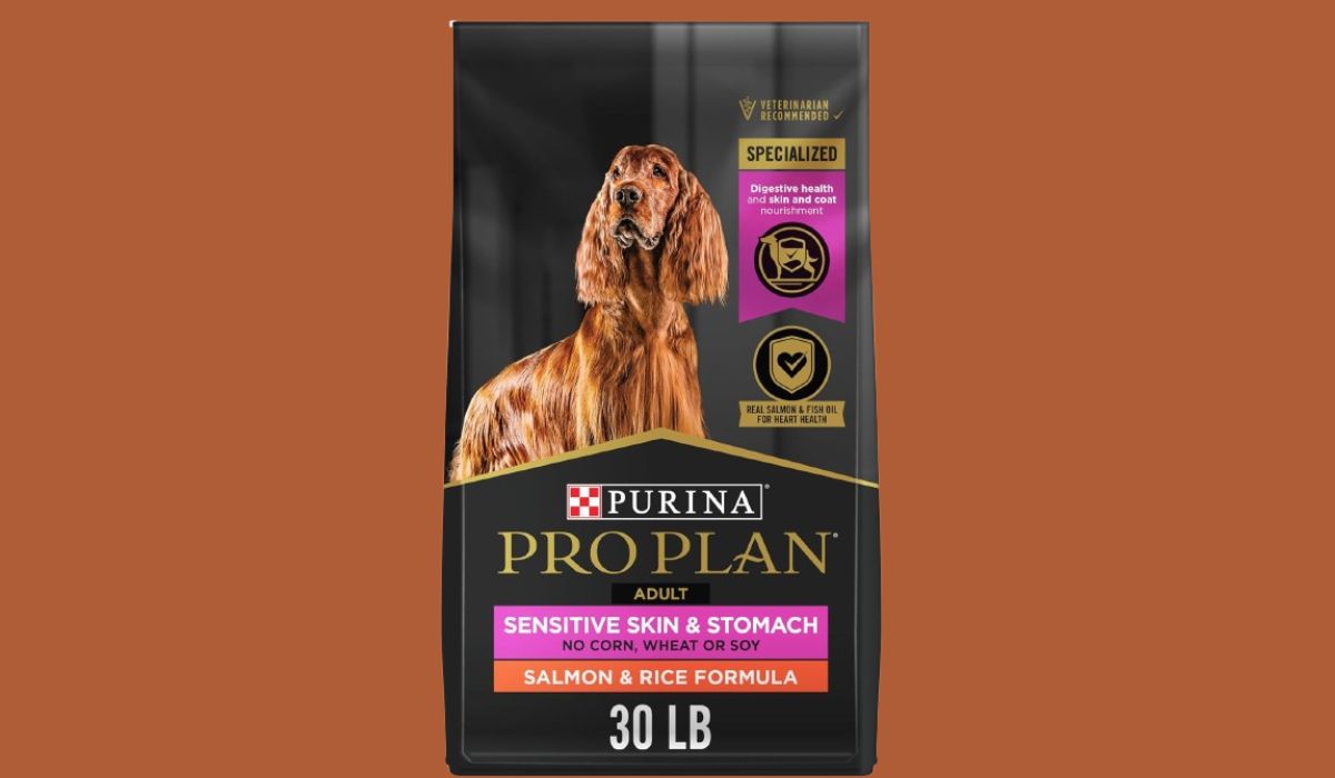 Whats the Best Dog Food for Dogs With Skin Allergies