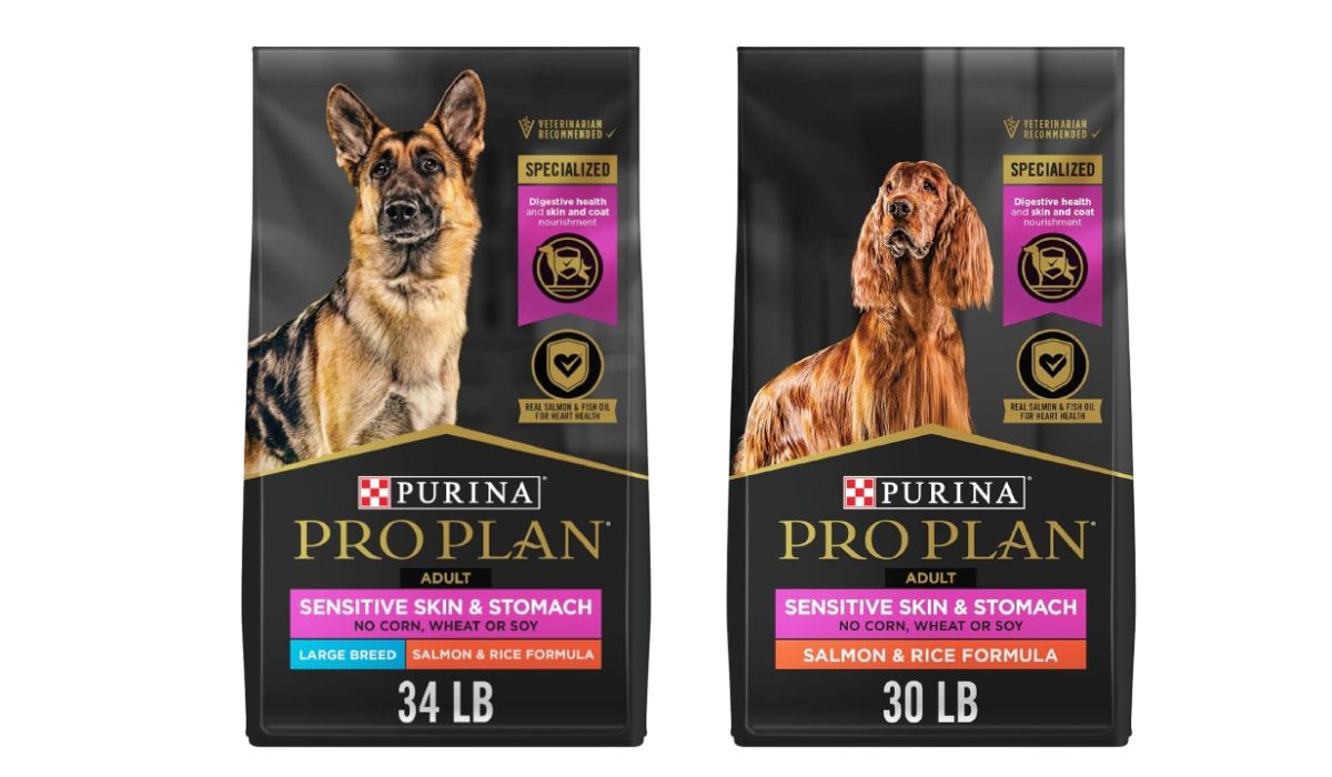 Best Dry Dog Food for Dogs With Skin Allergies