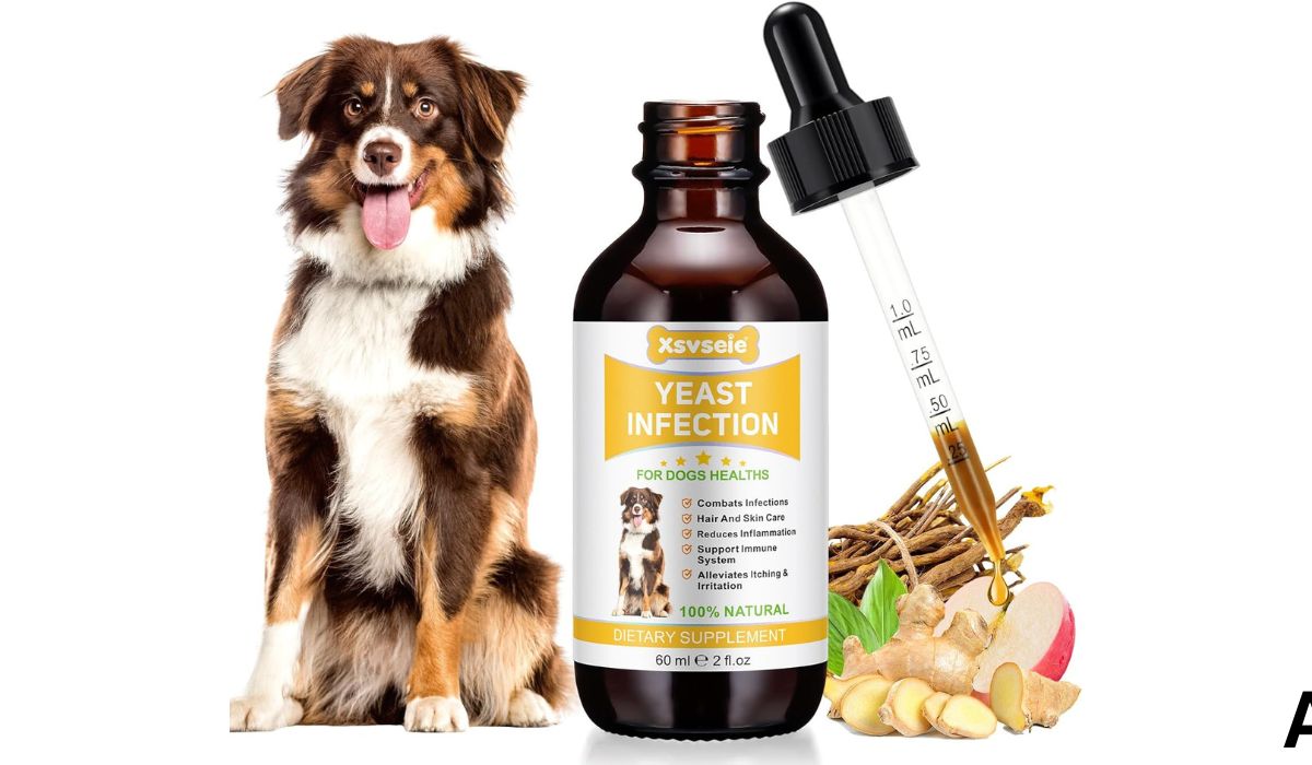 What Dog Food is Best for Dogs With Yeast Infections