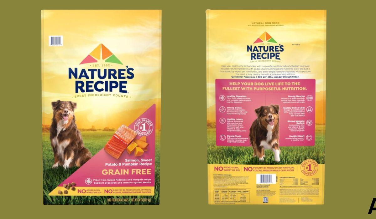 Best Grain Free Dog Food for Dogs With Skin Allergies