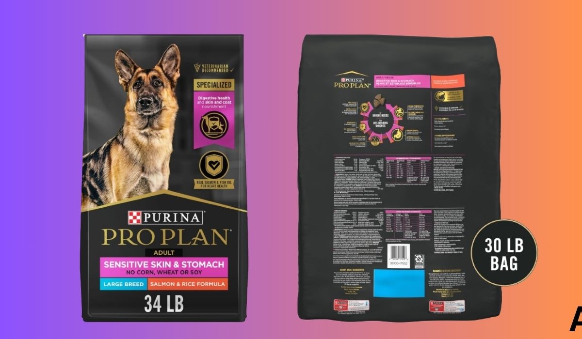 What's the Best Dog Food for Dogs With Sensitive Stomachs