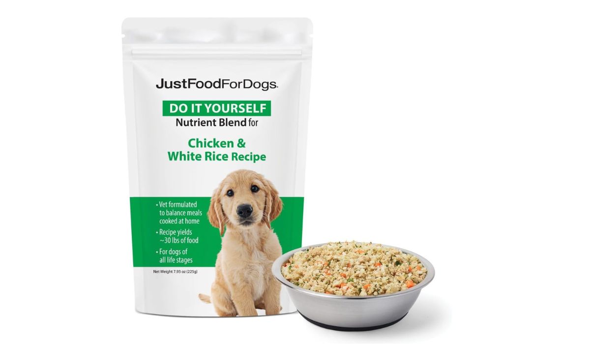 What is the Best Homemade Dog Food for Small Dogs