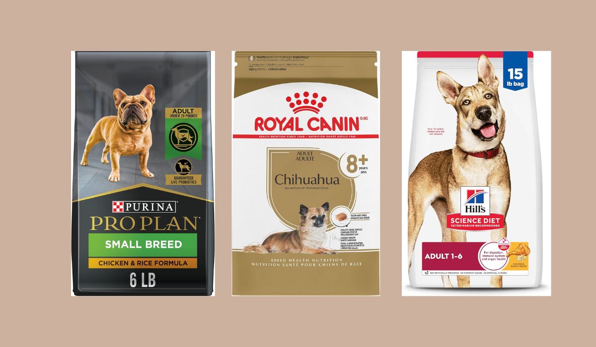 What is the Best Senior Dog Food for Small Dogs