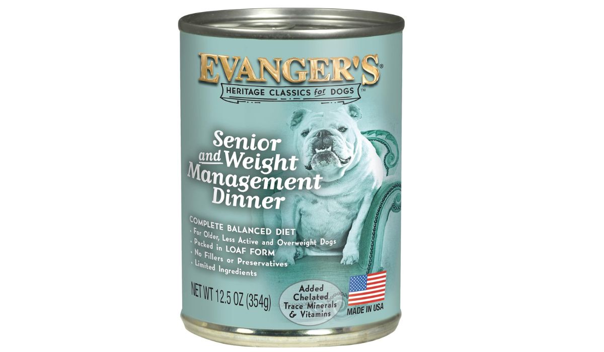 What is the Best Dog Food for Overweight Senior Dogs