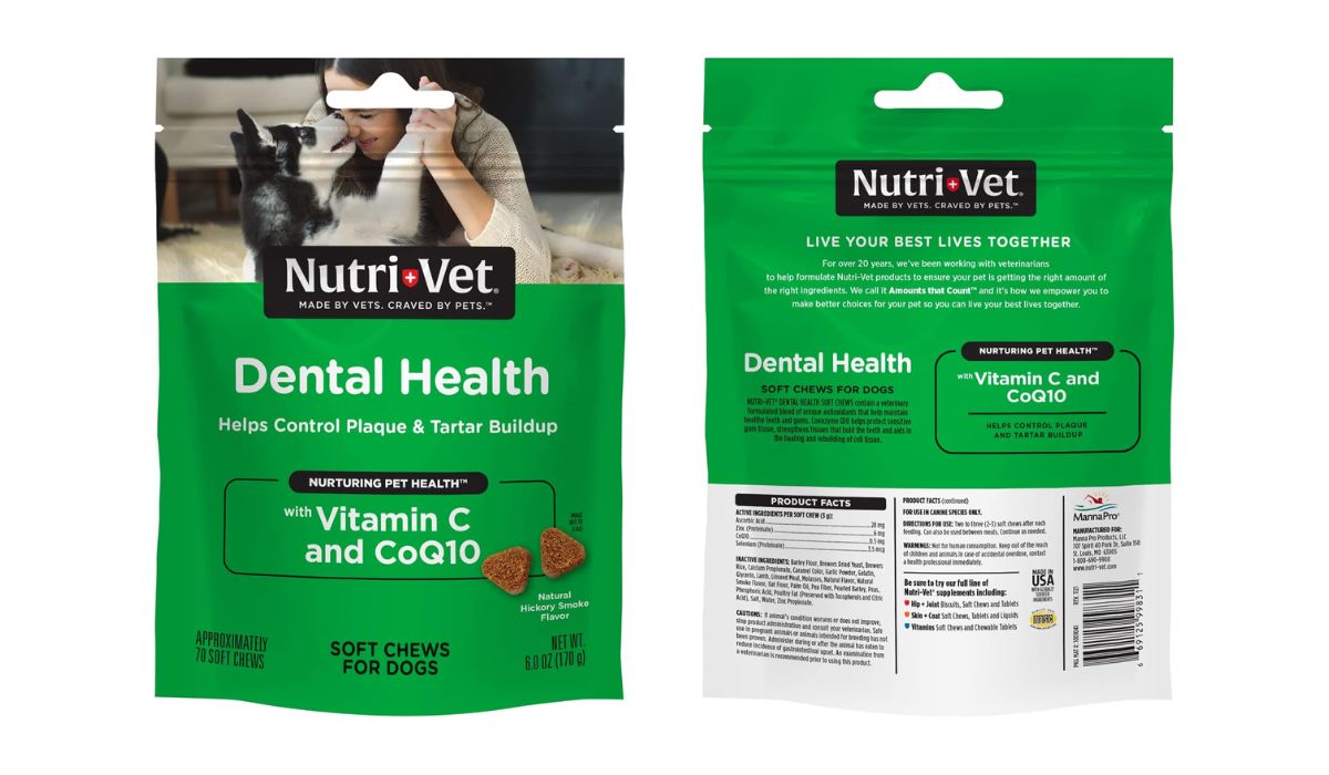 Best Soft Dog Food for Senior Dogs With Bad Teeth