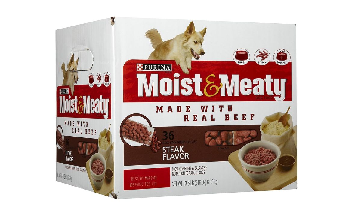 Best Soft Dog Food for Older Dogs With Bad Teeth