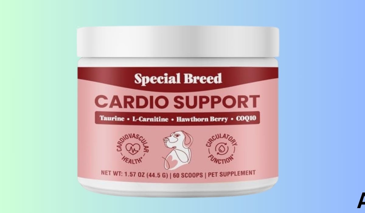 Best Dog Food for Small Dogs With Congestive Heart Failure