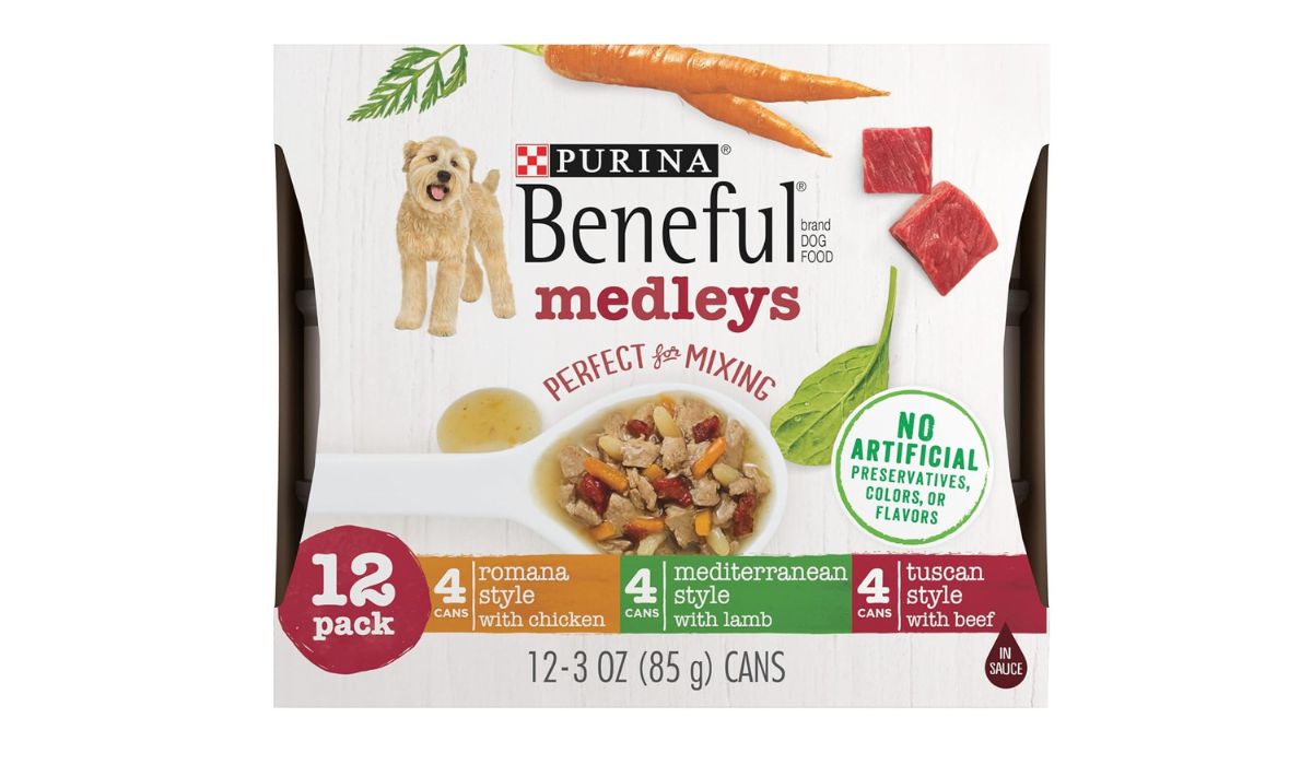 Best Dog Food for Older Small Dogs With No Teeth