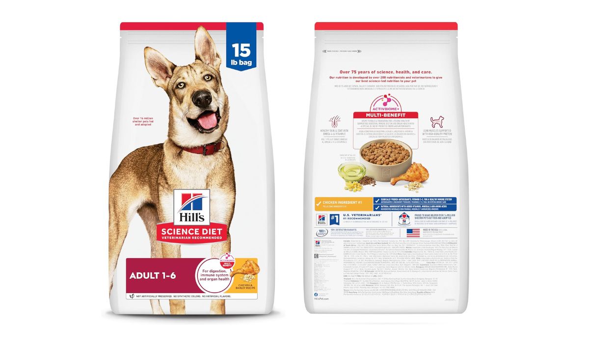What is the Best Dog Food for Dogs With Allergies