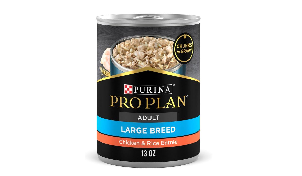 What is the Best Canned Dog Food for Large Dogs