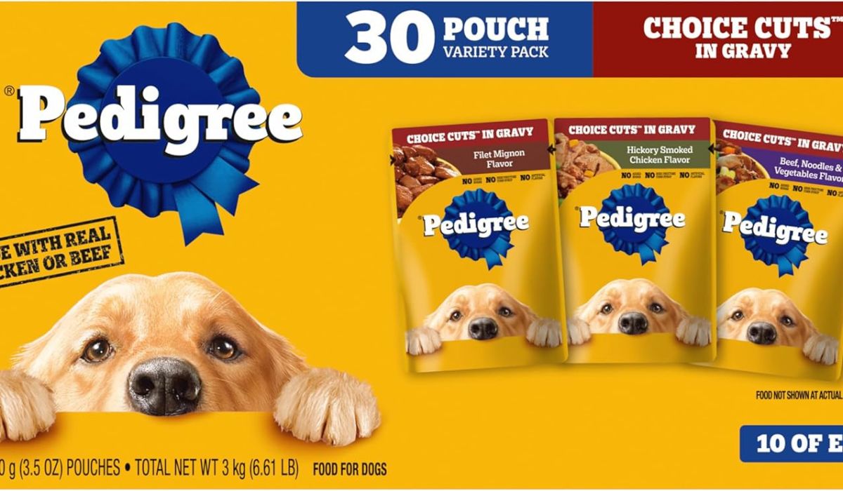 Best Soft Dog Food for Small Dogs With No Teeth