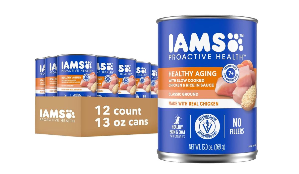 What is the Best Canned Dog Food for Older Dogs