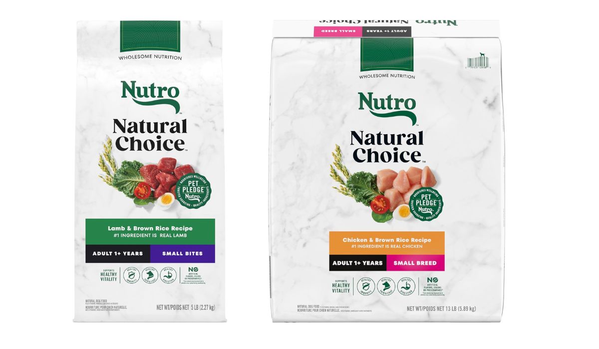 What is the Best Dog Food for Small Senior Dogs