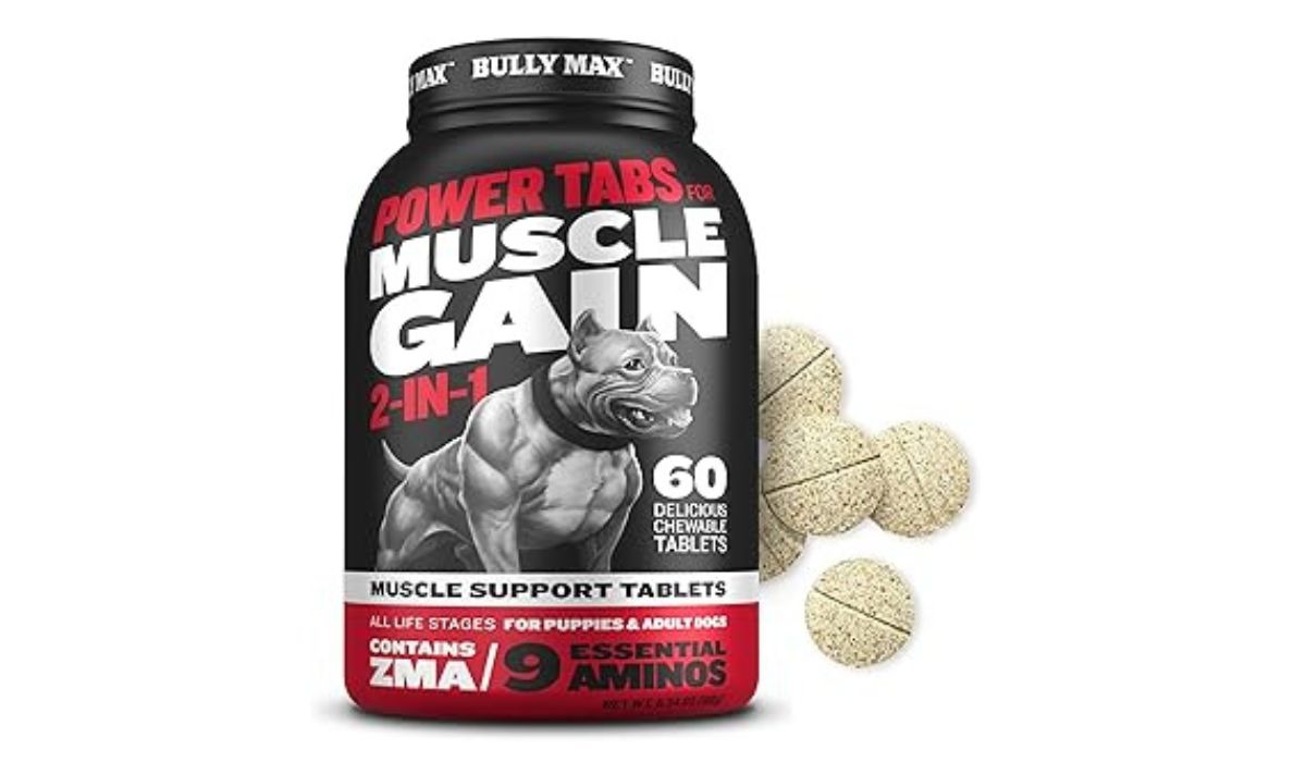 Best Dog Food for Dogs That Need to Gain Weight