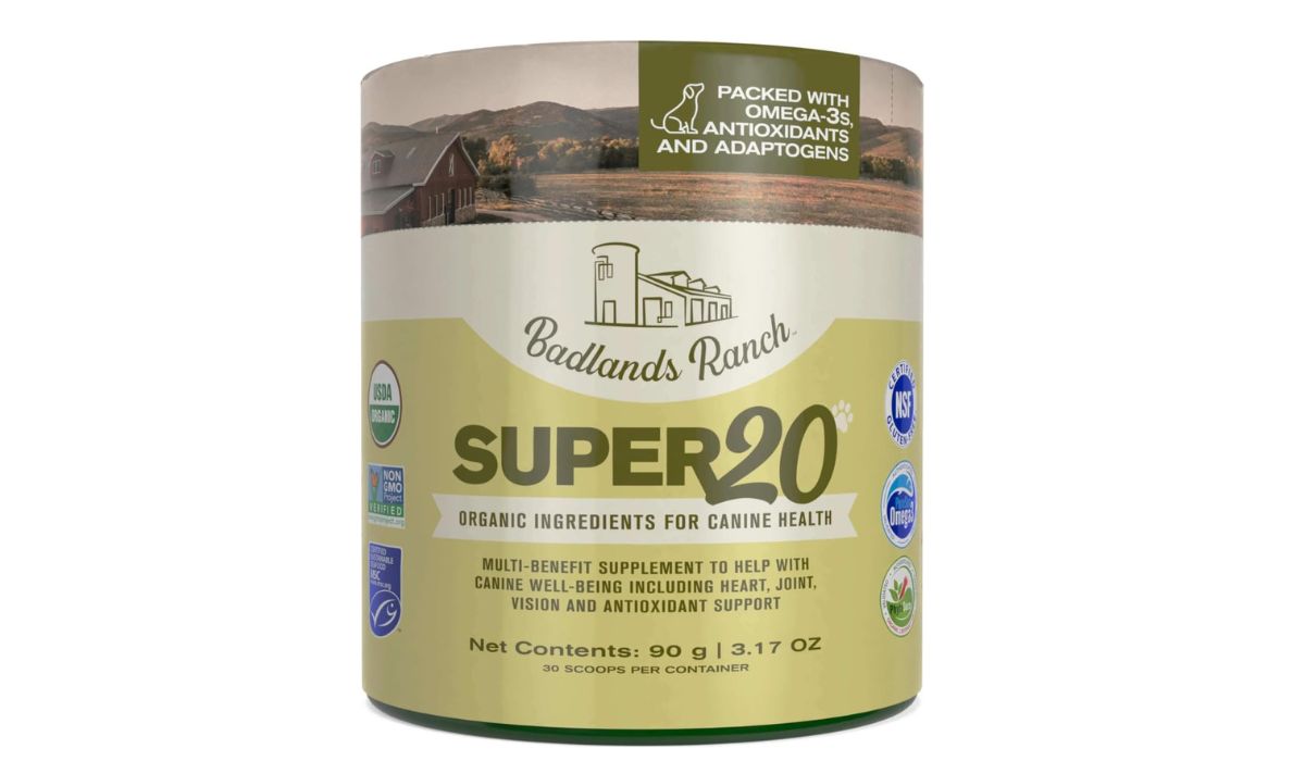 Best Wet Dog Food for Senior Dogs to Gain Weight