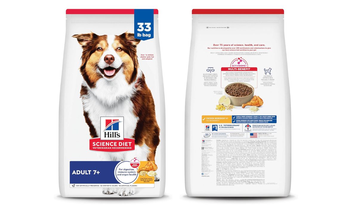 What is the Best Dog Food for Senior Small Dogs