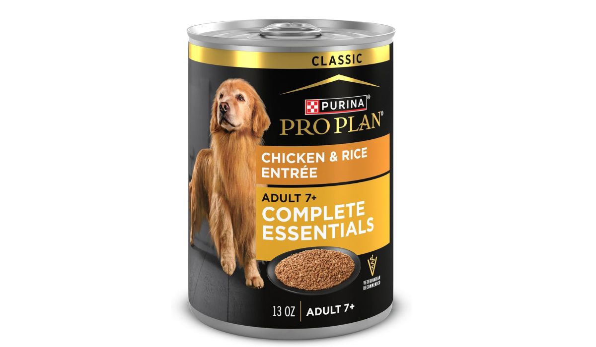 What is the Best Canned Dog Food for Senior Dogs