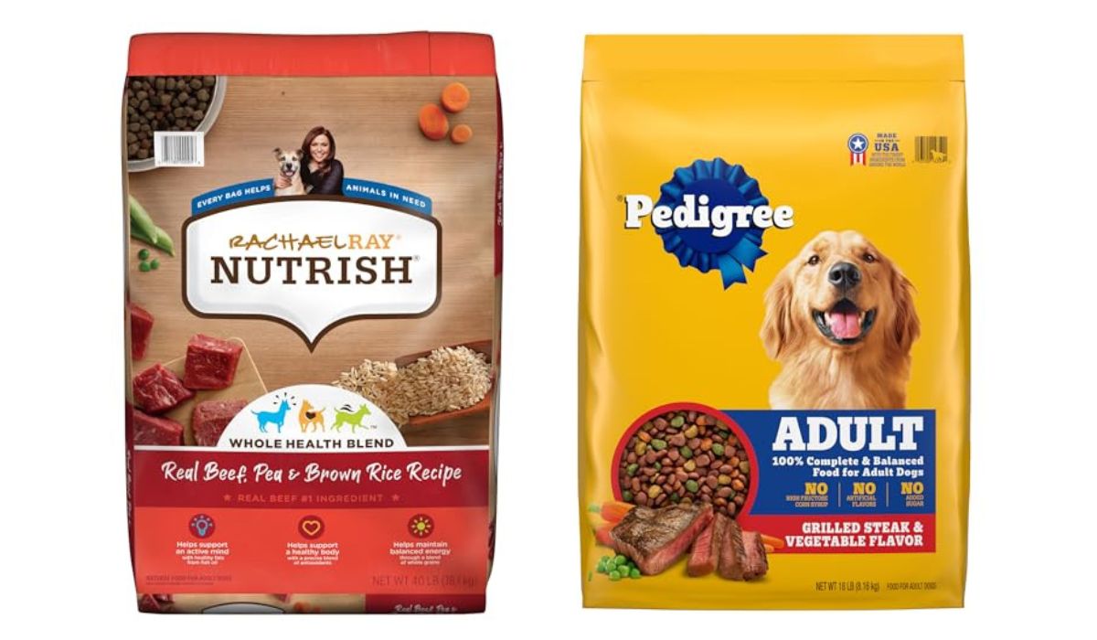 Best Dry Dog Food for Large Dogs on a Budget