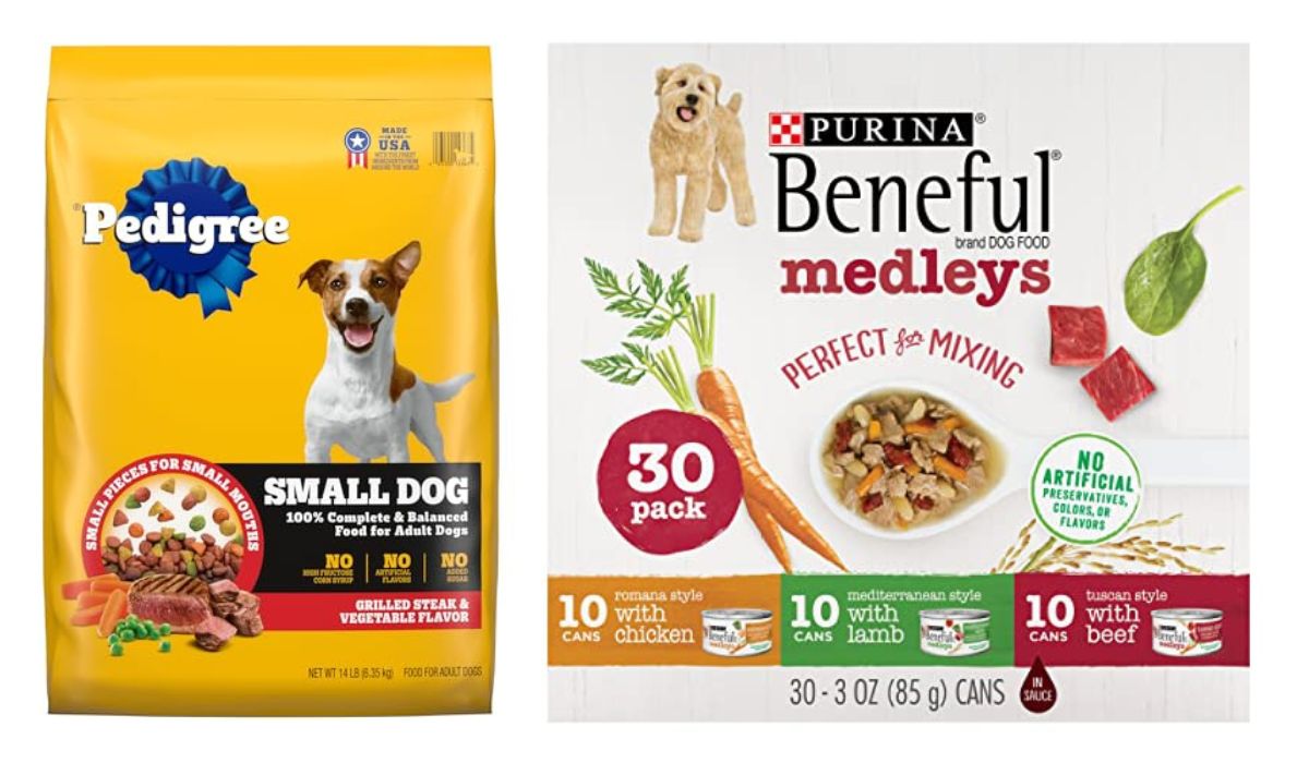 What is the Best Wet Dog Food for Small Dogs