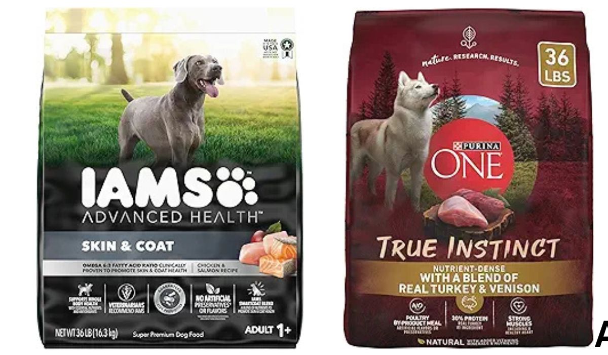 Best Dog Food for Dogs With Sensitive Skin And Allergies