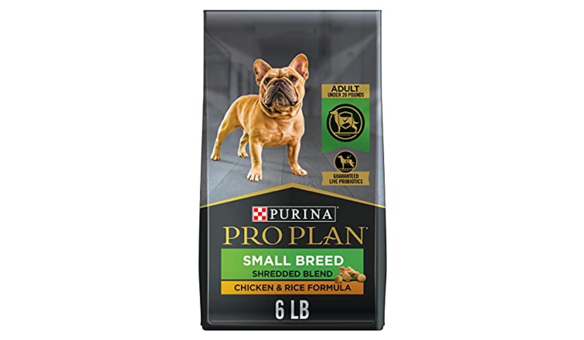 What Type of Dog Food is Best for Small Dogs