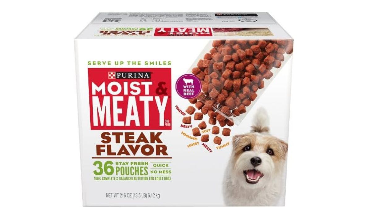 What is the Best Soft Dog Food for Older Dogs