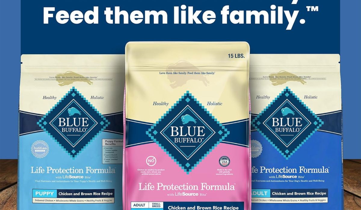 What is the Best Dog Food for Older Small Dogs