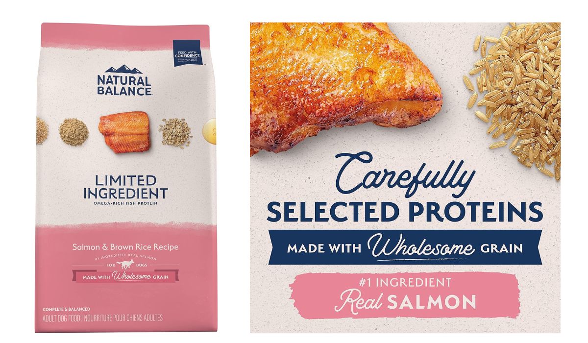 Best Limited Ingredient Dog Food for Dogs With Allergies