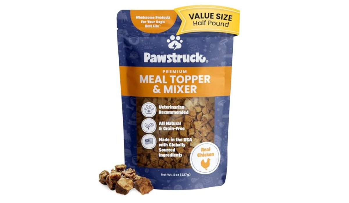 What is the Best Wet Dog Food for Older Dogs