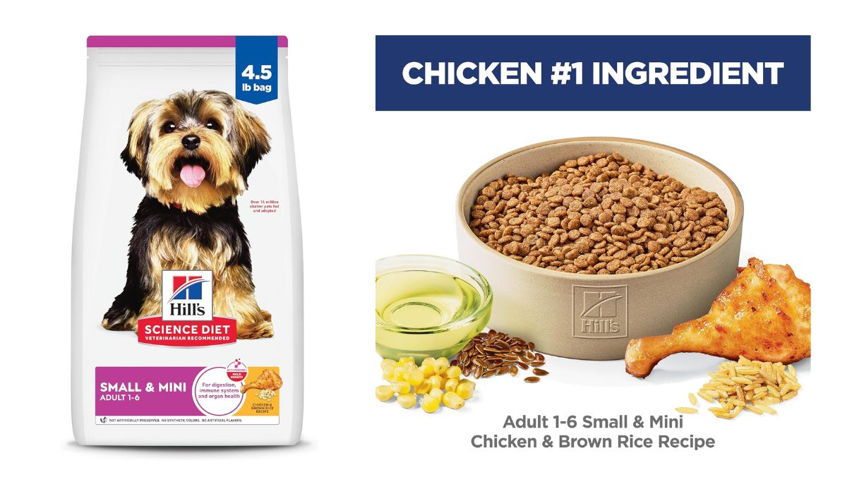 What is the Best Diet Dog Food for Small Dogs