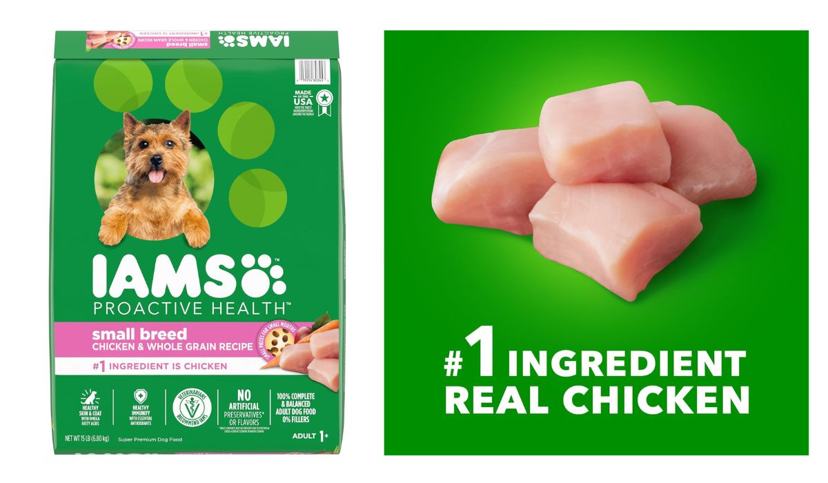 What is the Best Soft Dog Food for Small Dogs