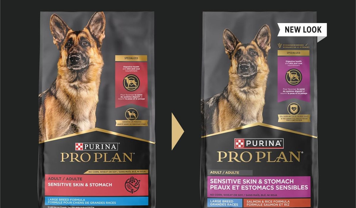 What Dog Food is Best for Dogs With Itchy Skin