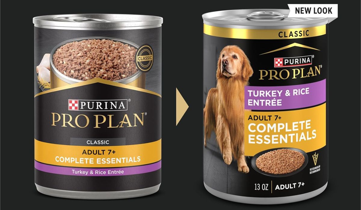 What is the Best Wet Dog Food for Senior Dogs