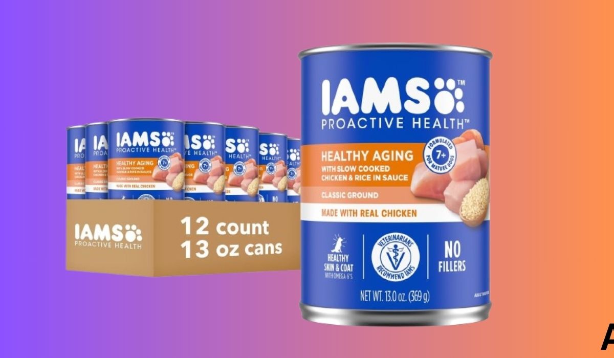 Best Dog Food for Older Dogs With No Teeth