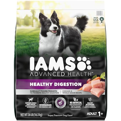 Iams Advanced Health Adult Healthy Digestion Dry Dog Food with Real Chicken, 36 lb. Bag