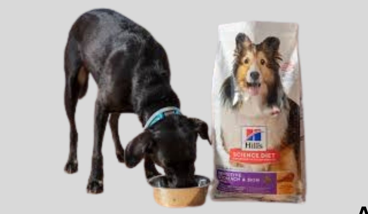 Best Dog Food for Large Dogs With Sensitive Stomach