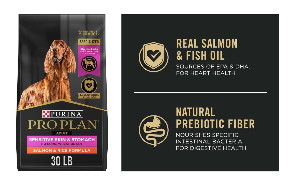 Best Dog Food Brands for Dogs With Sensitive Stomachs