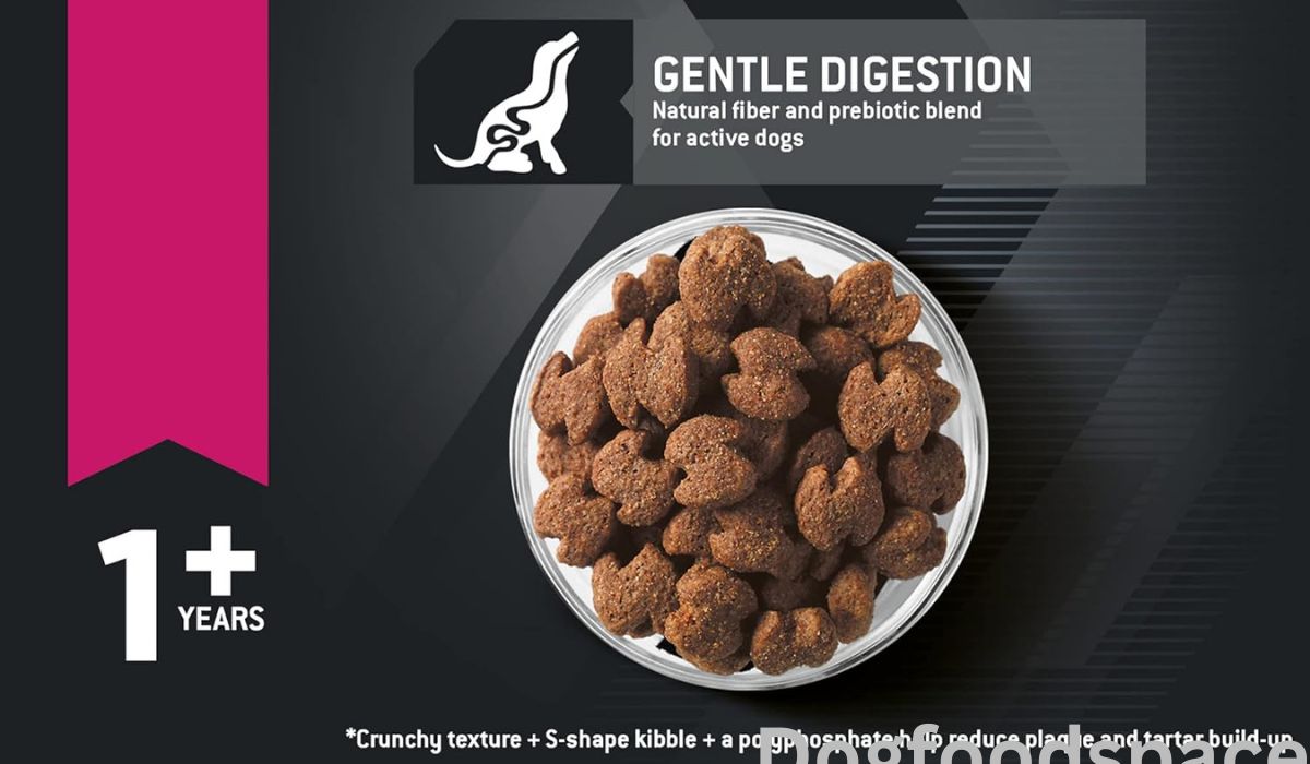 Best Dog Food for Dogs With Sensitive Digestive Systems