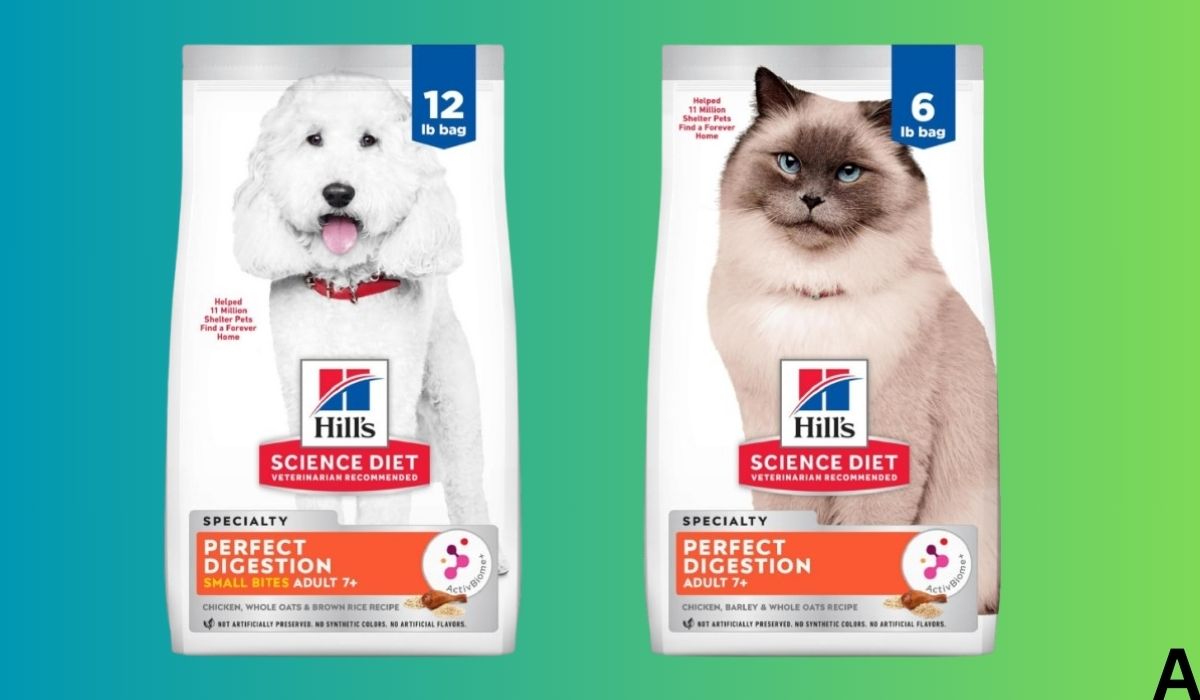 Best Dog Food for Older Dogs With Digestive Problems