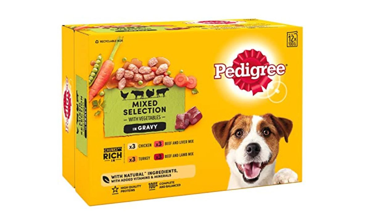 Best Dog Food for Dogs With Irritable Bowel Syndrome