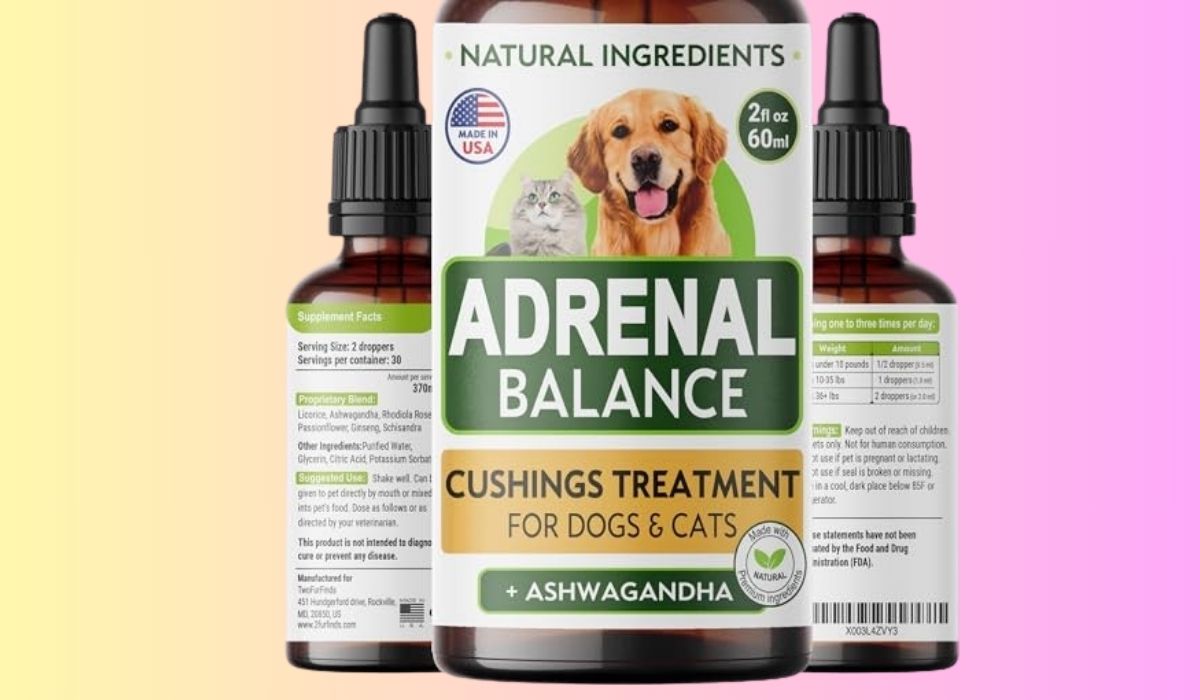 Best Canned Dog Food for Dogs With Cushing's Disease