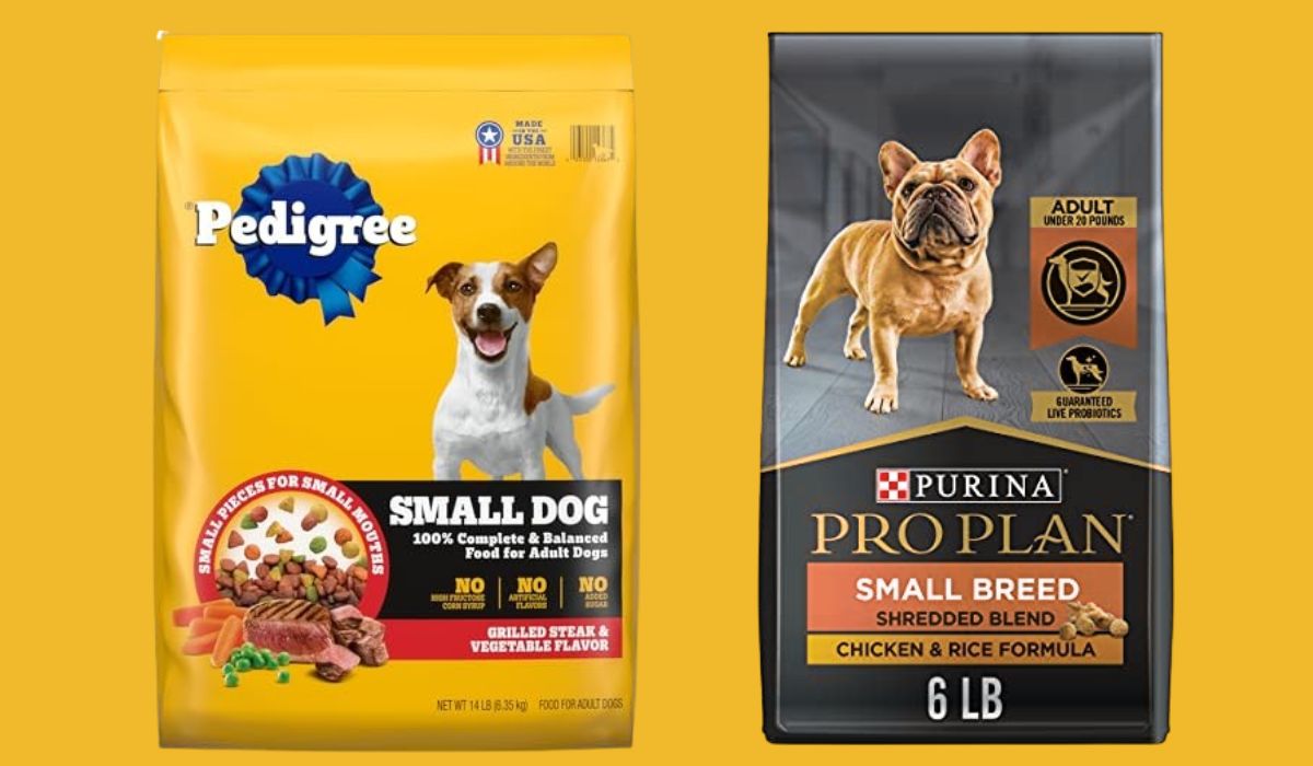 What Brand of Dog Food is Best for Small Dogs