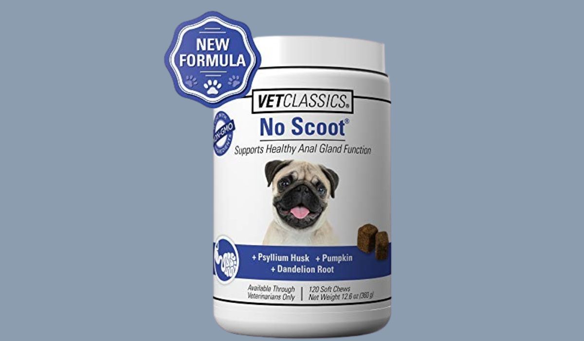 Best Dog Food for Dogs With Anal Gland Problems