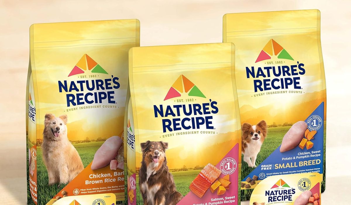 Best Dog Food for Dogs With Chronic Yeast Infections