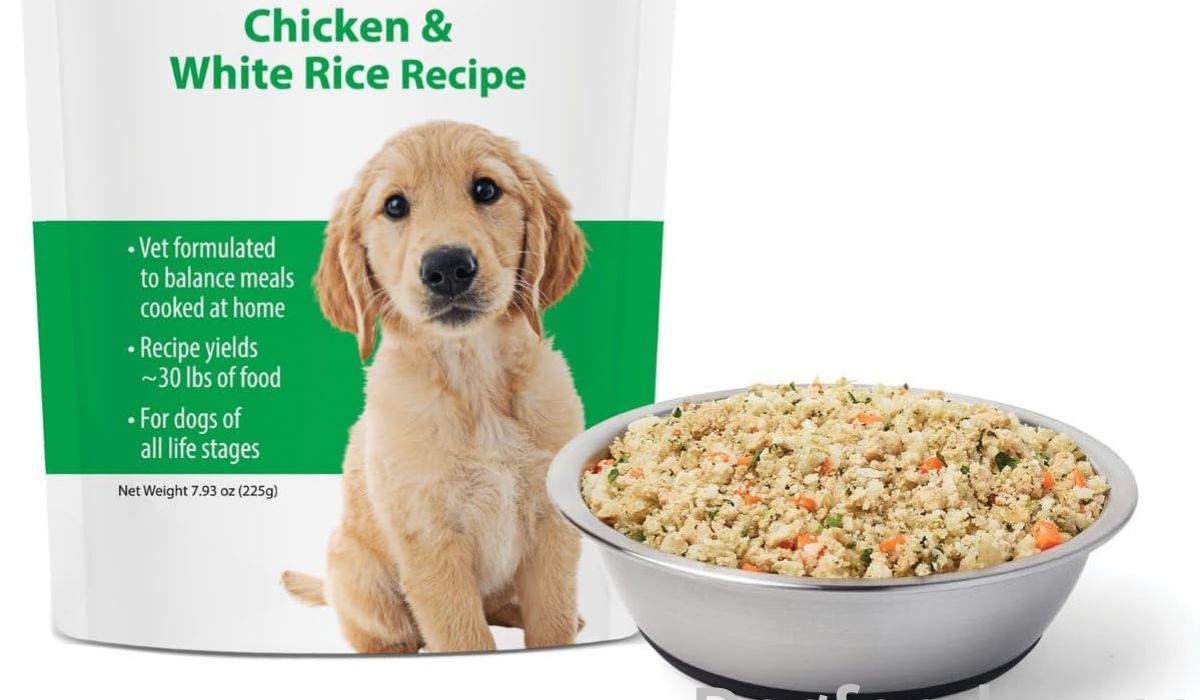 Best Homemade Dog Food Recipes for Dogs With Allergies